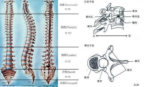 福州中德骨科医院