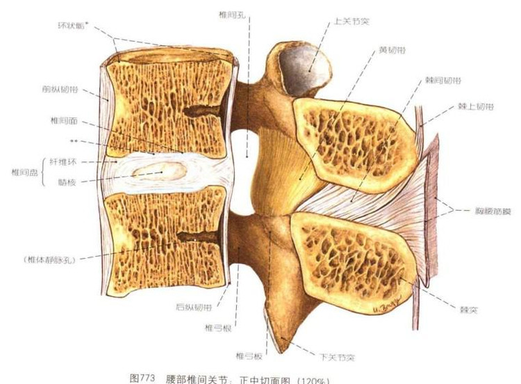 腰椎间盘突出的三大危害