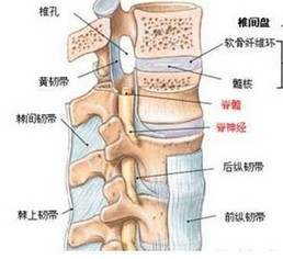 腰椎间盘突出患者可能出现的三种额外损害